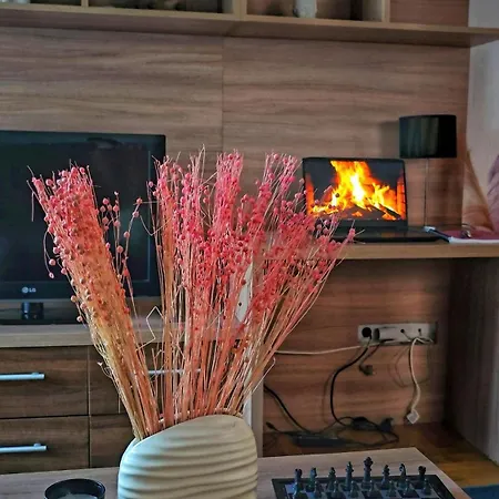 Jovanovic Apartment Vrnjacka Banja